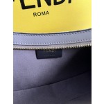 FENDI leather handbag model number: 225